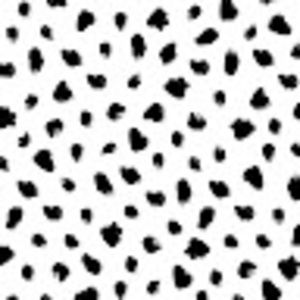 Meet your Posher, Laney